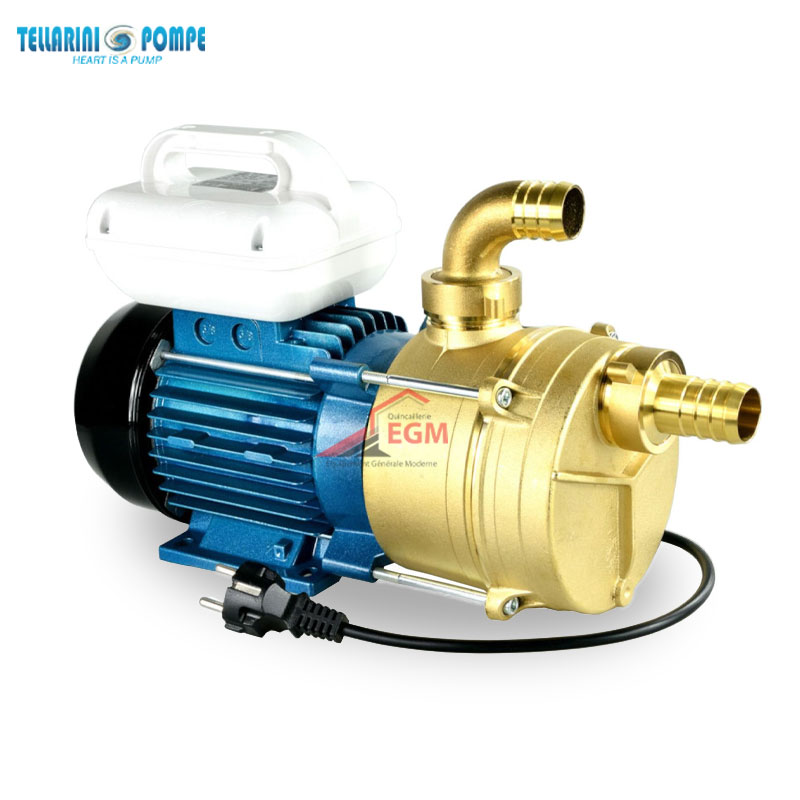 POMPE TRANSVERSAL LAITON AVEC CHARIOT Ø 30 (1.0 / HP) 220V TELLARINI