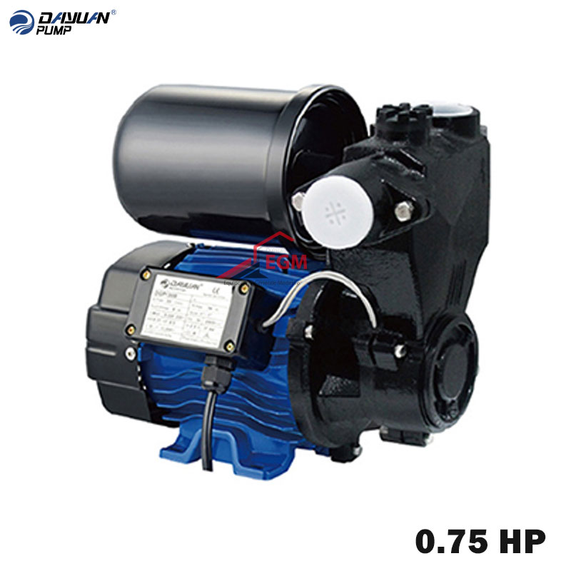 MOTO POMPE AUTO-AMORCANTE DOMESTIQUE 0.75 HP 220V 1"X1" DAYUAN