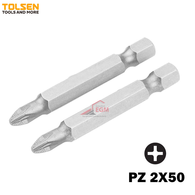 JEUX DE 2 EMBOUT DE T VIS PZ 2X50 TOLSEN