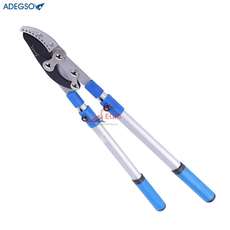 SECATEUR COUPE BRANCHES A 2 BRAS TELESCOPIQUE LAME COURTE ADEGSO