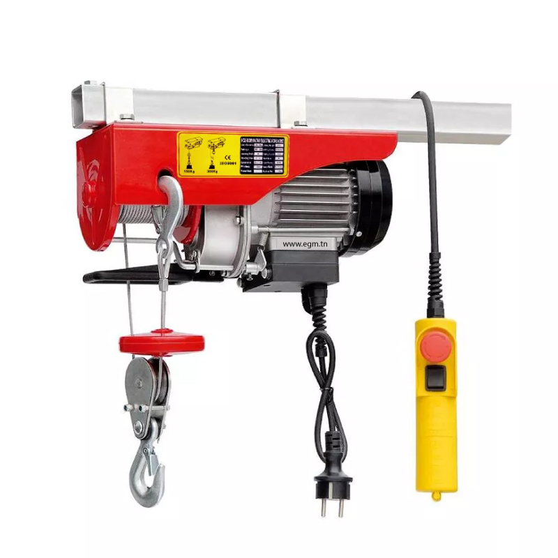 PALAN A CABLE ELECTRIQUE 220V